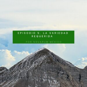 Construyendo Mejores Futuros
