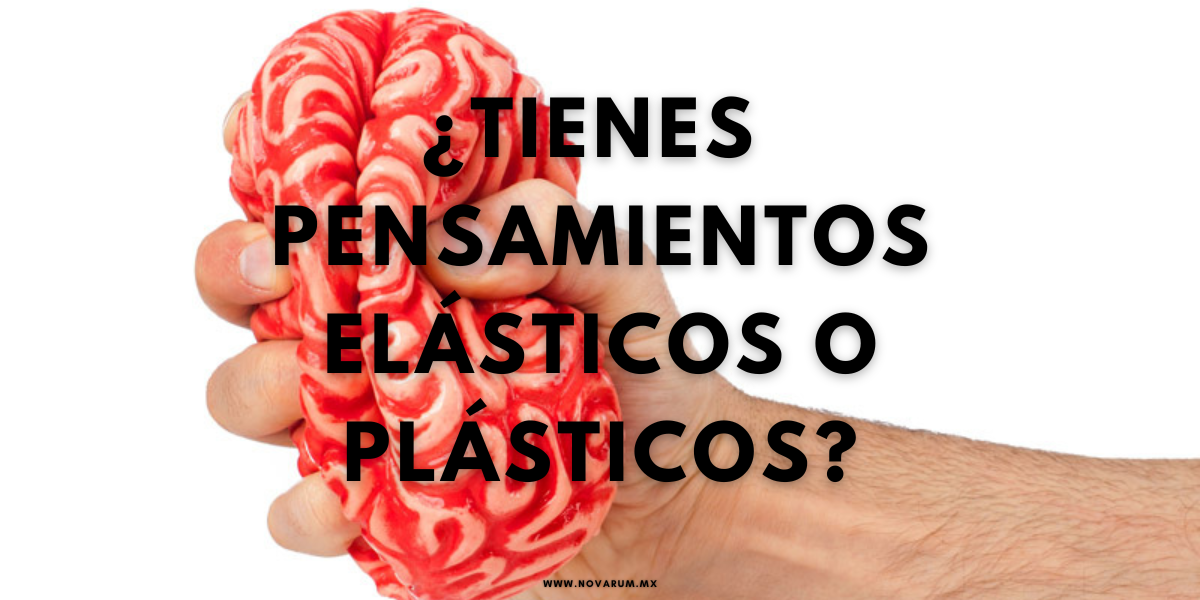¿Tienes pensamientos elásticos o plásticos? - Conexión Novarum