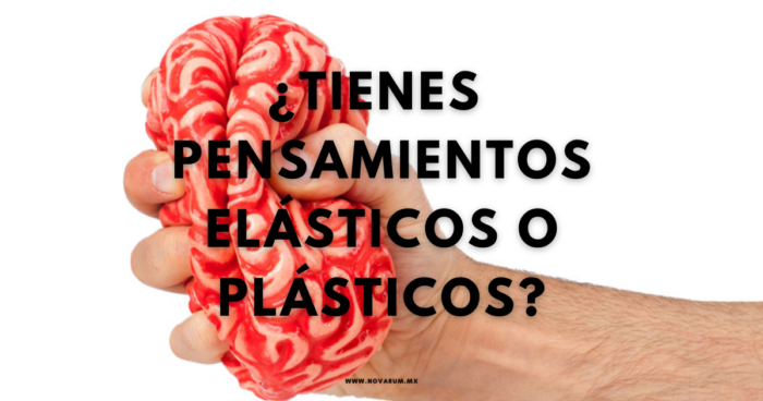 ¿Tienes pensamientos elásticos o plásticos? - Conexión Novarum