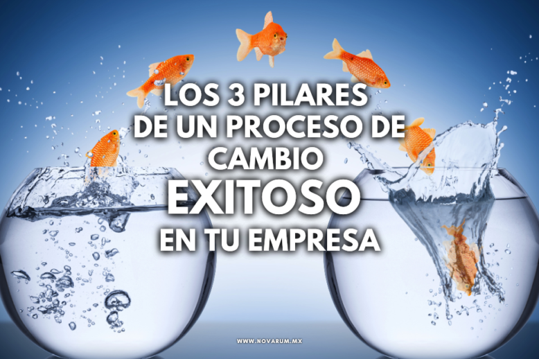 Los 3 Pilares de un Proceso de Cambio Exitoso en tu Empresa