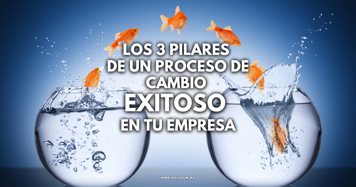 Los 3 Pilares de un Proceso de Cambio Exitoso en tu Empresa