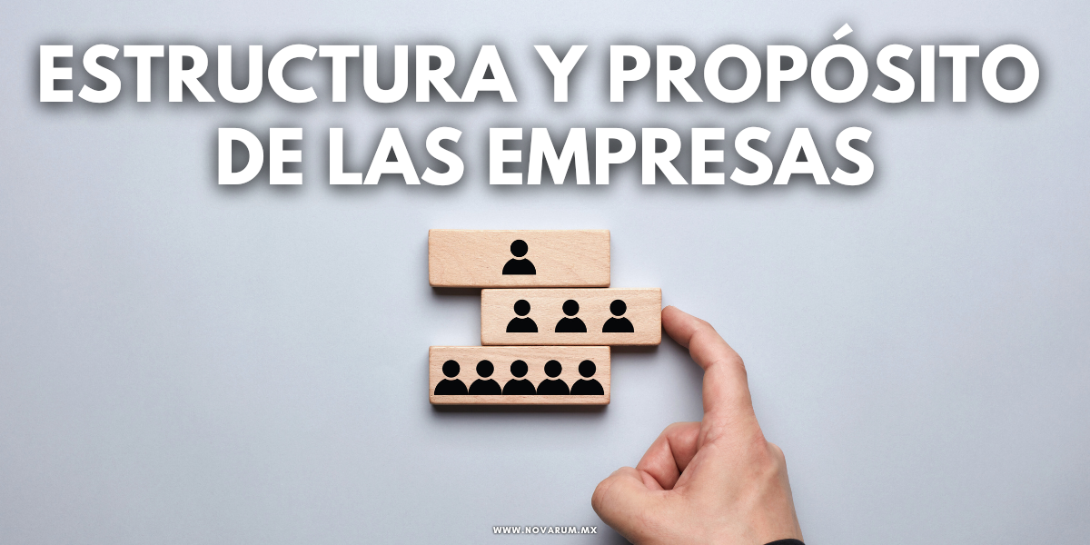 Estructura y propósito de las empresas
