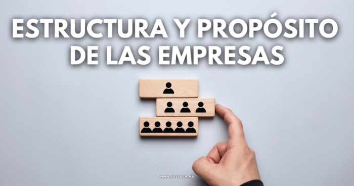 Estructura y propósito de las empresas