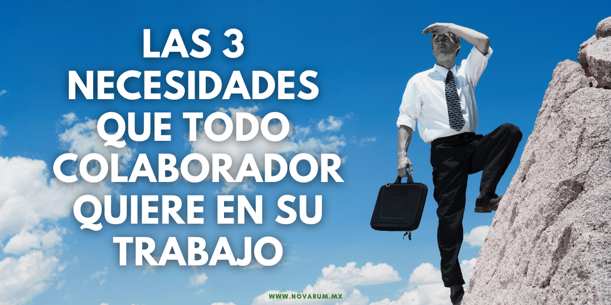 Las 3 necesidades que todo colaborador quiere en su trabajoLas 3 necesidades que todo colaborador quiere en su trabajo