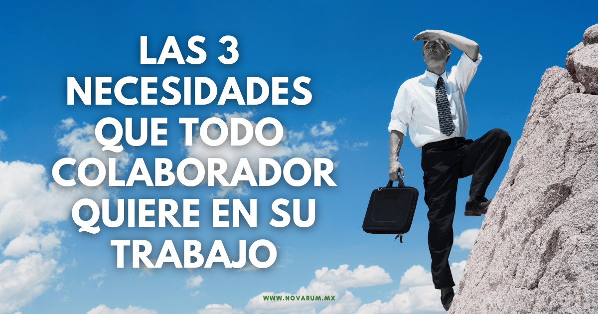 Las 3 necesidades que todo colaborador quiere en su trabajoLas 3 necesidades que todo colaborador quiere en su trabajo