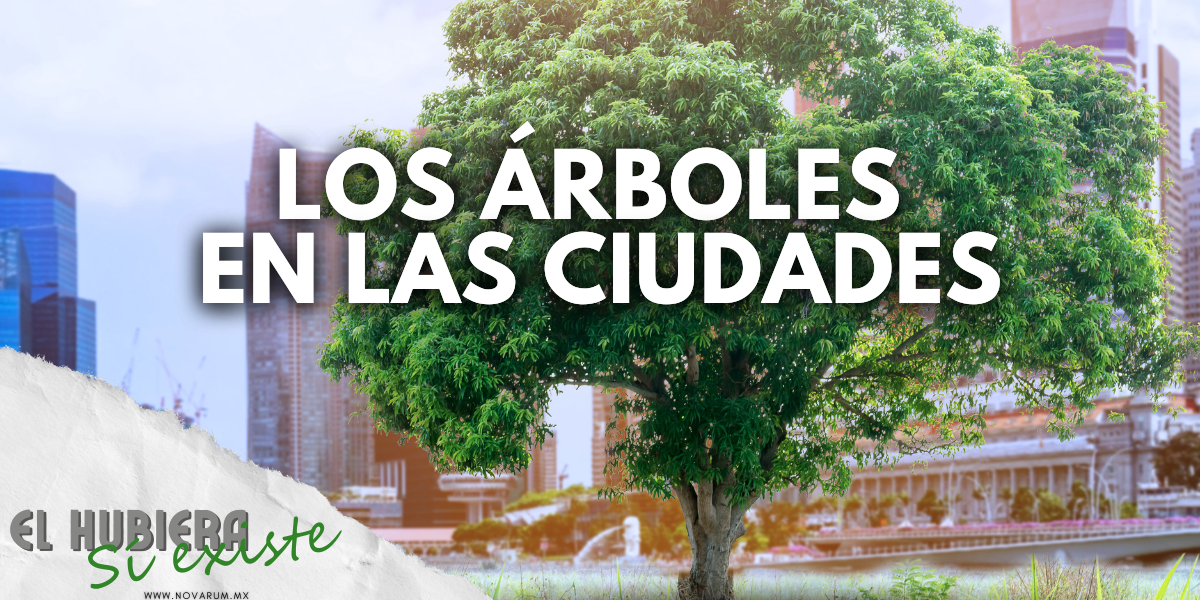 Los árboles en las ciudades