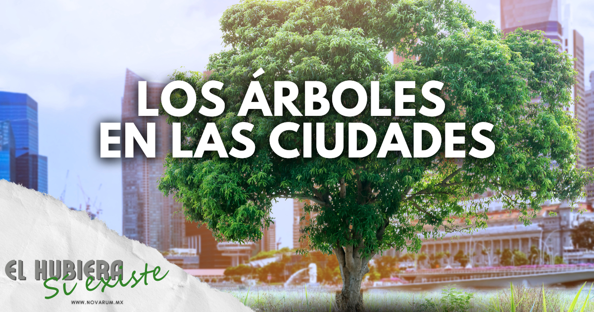 Los árboles en las ciudades