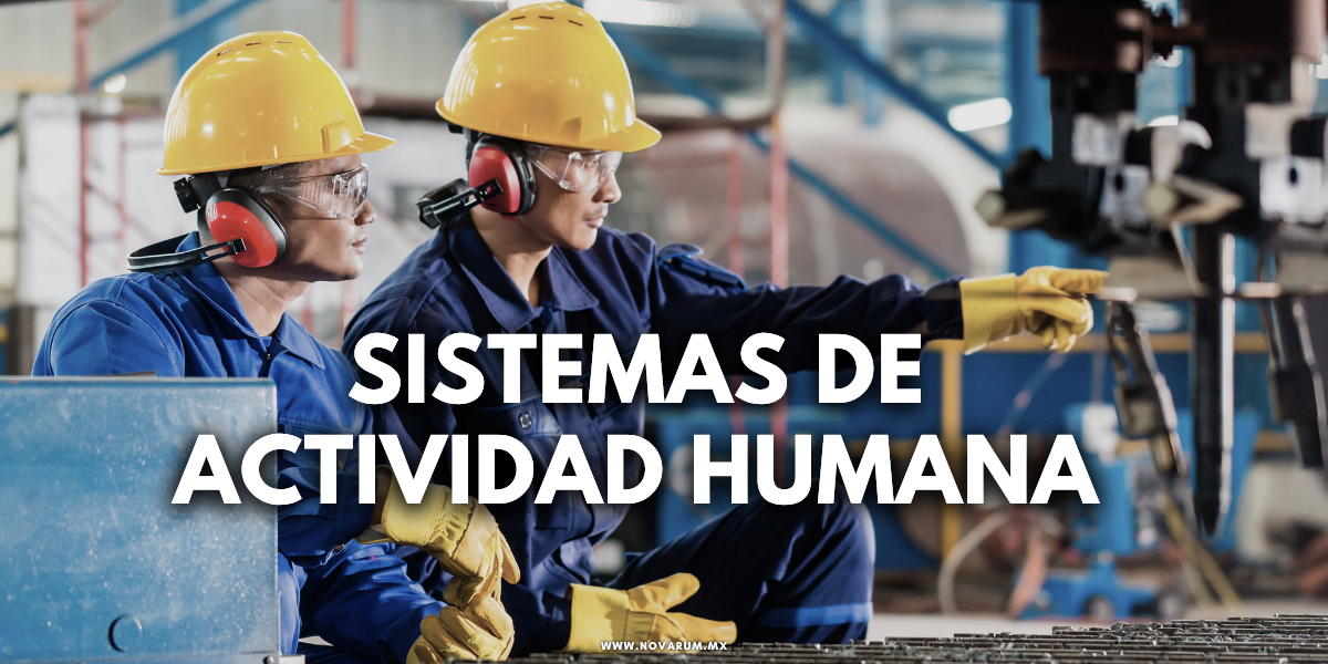 Sistemas de actividad humana