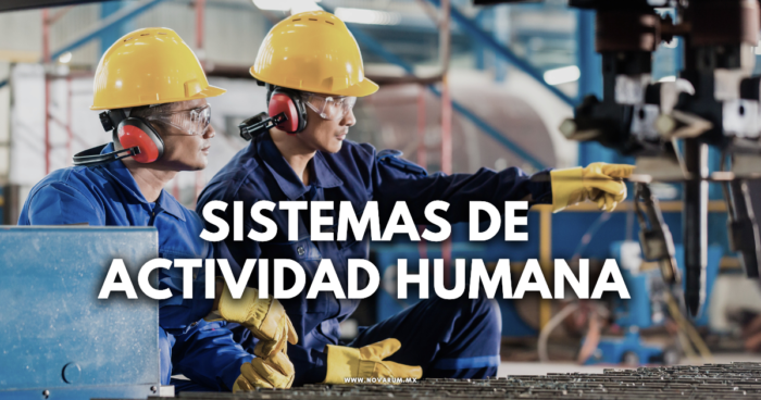 Sistemas de actividad humana