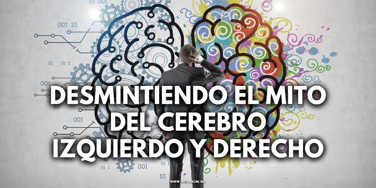 Desmintiendo el Mito del Cerebro Izquierdo y Derecho
