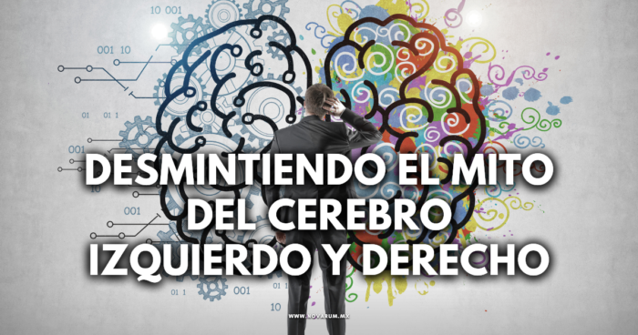Desmintiendo el Mito del Cerebro Izquierdo y Derecho