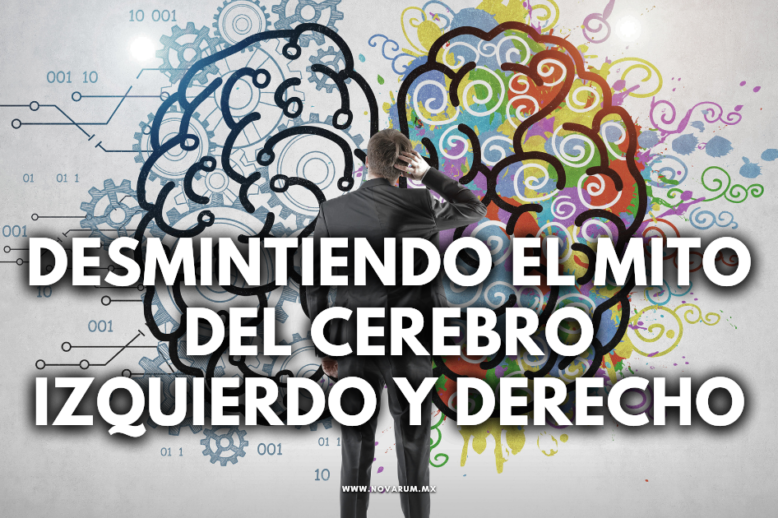 Desmintiendo el Mito del Cerebro Izquierdo y Derecho Desmintiendo el Mito del Cerebro Izquierdo y Derecho