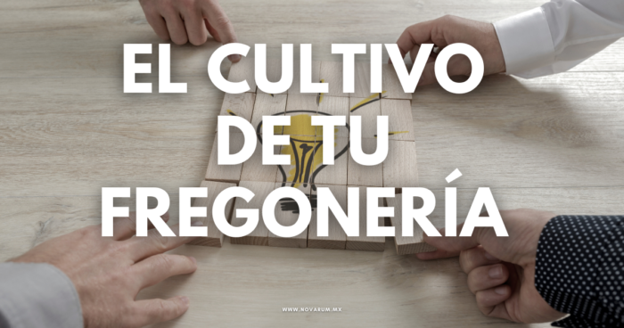 El Cultivo de tu Fregonería - Enrique Canales