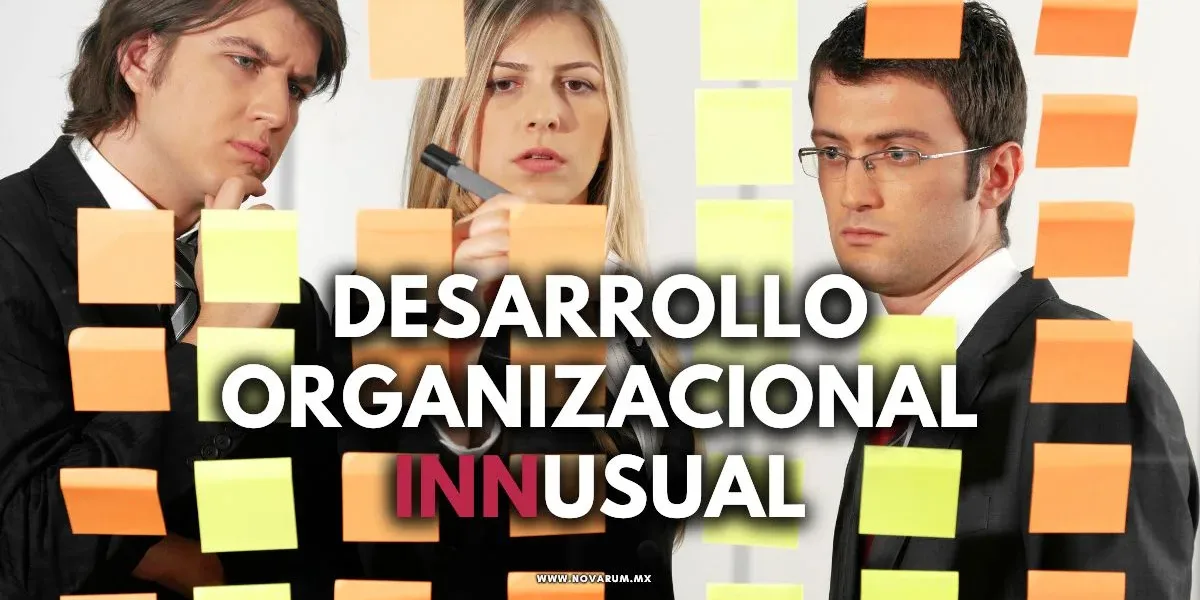 Desarrollo Organizacional INNusual