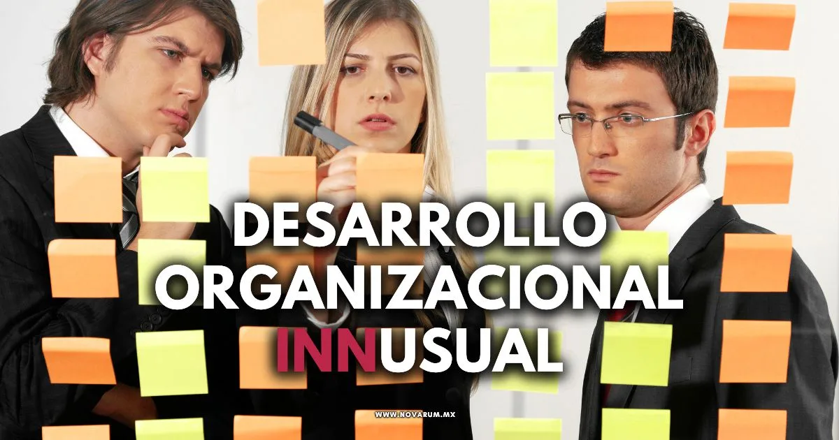 Desarrollo Organizacional INNusual