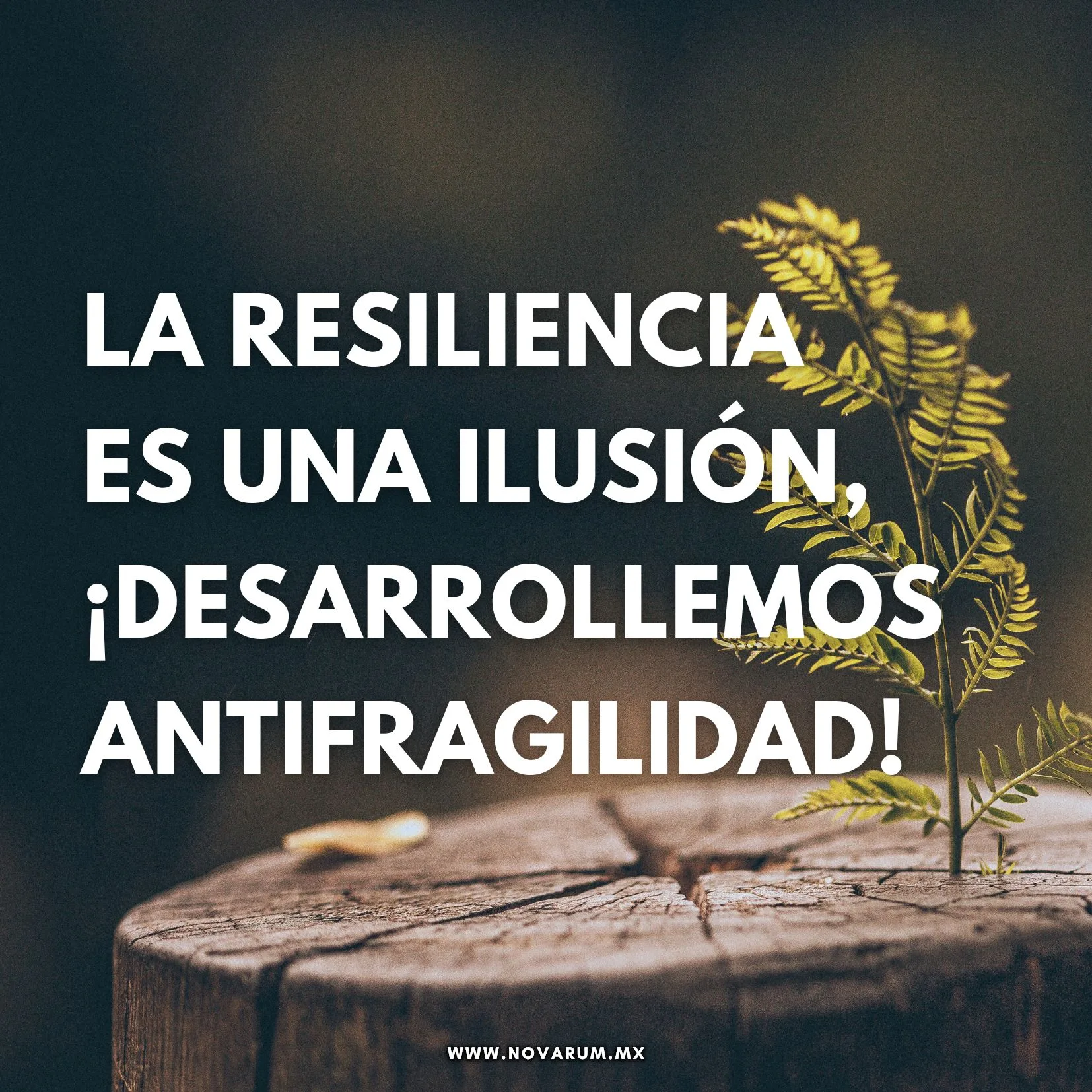 La resiliencia es una ilusión, ¡desarrollemos Antifragilidad!