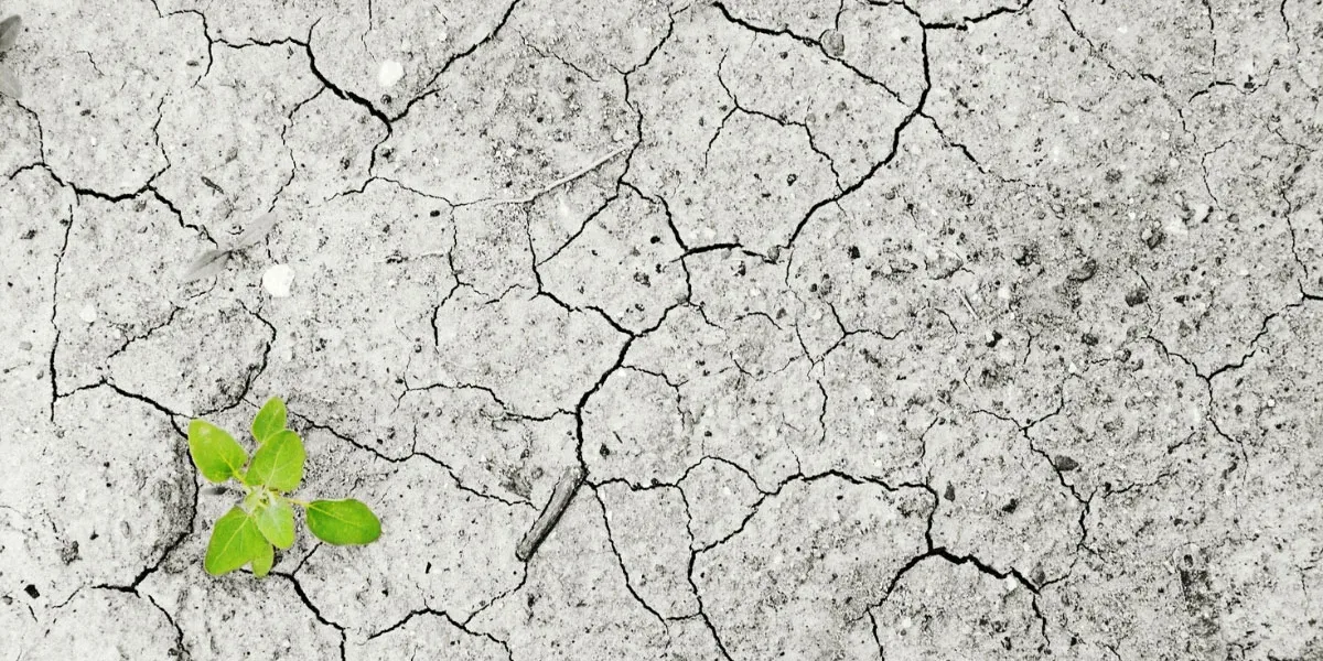 El Arte de Adaptarse: 6 claves para liderar cambios organizacionales exitosos