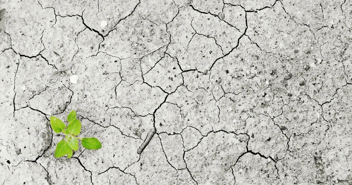 El Arte de Adaptarse: 6 claves para liderar cambios organizacionales exitosos