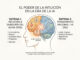 El poder de la intuición en la era de la inteligencia artificial